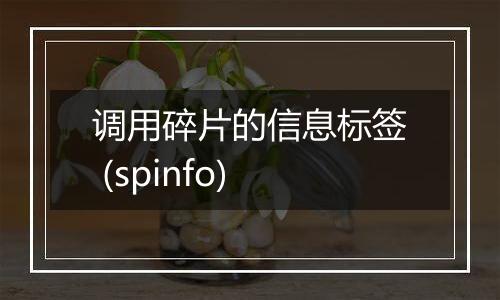 调用碎片的信息标签 (spinfo)