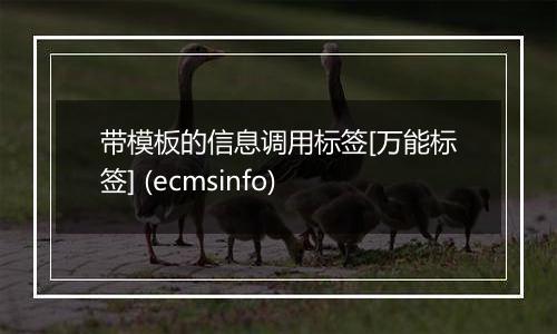 带模板的信息调用标签[万能标签] (ecmsinfo)