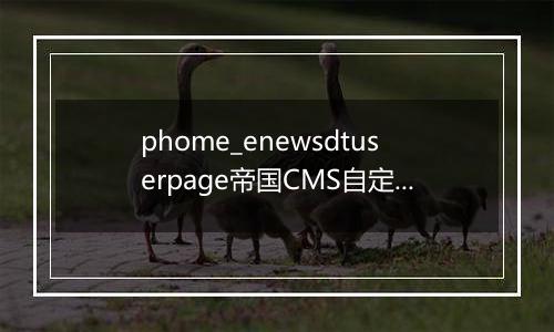 phome_enewsdtuserpage帝国CMS自定义动态页面数据表