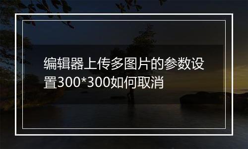 编辑器上传多图片的参数设置300*300如何取消