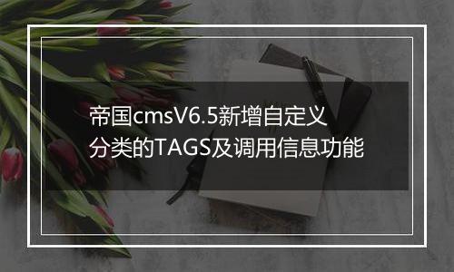 帝国cmsV6.5新增自定义分类的TAGS及调用信息功能