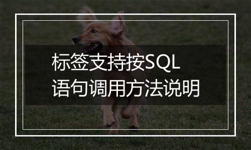 标签支持按SQL语句调用方法说明