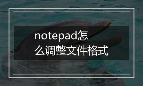 notepad怎么调整文件格式