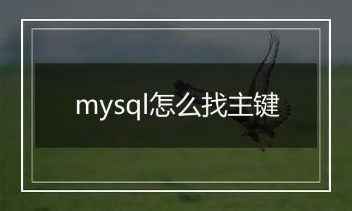 mysql怎么找主键