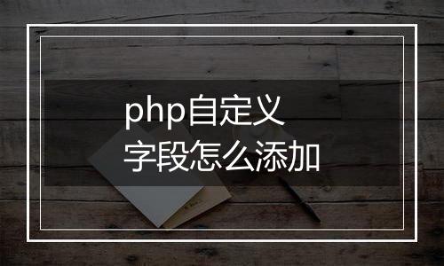 php自定义字段怎么添加