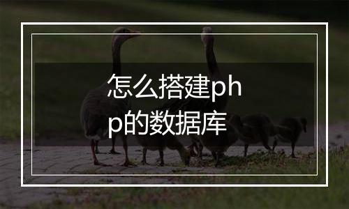 怎么搭建php的数据库