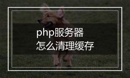 php服务器怎么清理缓存