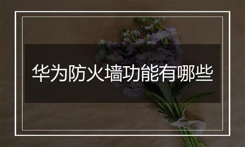 华为防火墙功能有哪些