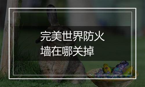 完美世界防火墙在哪关掉