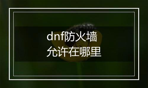 dnf防火墙允许在哪里