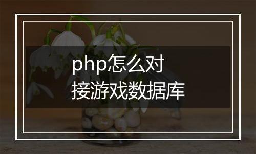 php怎么对接游戏数据库