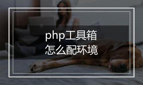 php工具箱怎么配环境
