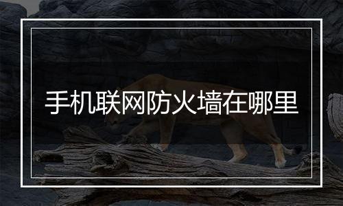 手机联网防火墙在哪里