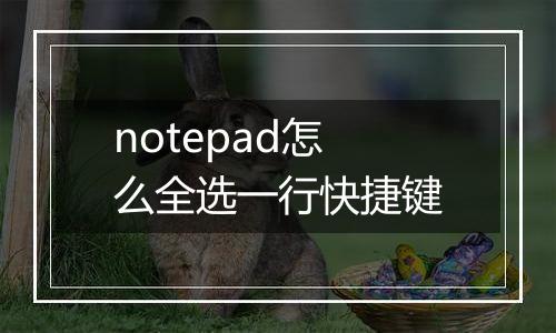 notepad怎么全选一行快捷键