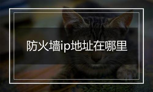 防火墙ip地址在哪里