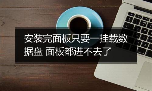 安装完面板只要一挂载数据盘 面板都进不去了