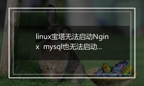 linux宝塔无法启动Nginx mysql也无法启动~