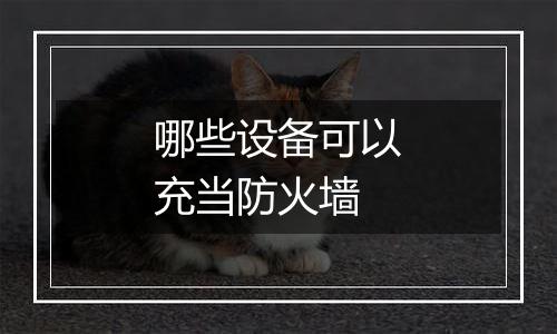 哪些设备可以充当防火墙
