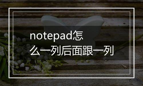 notepad怎么一列后面跟一列