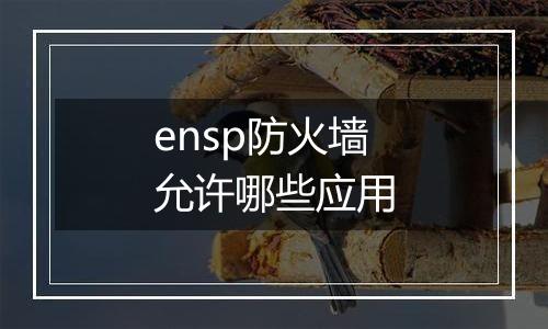 ensp防火墙允许哪些应用