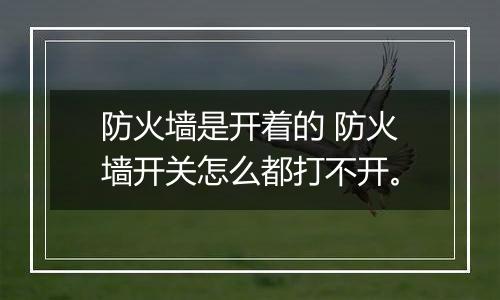 防火墙是开着的 防火墙开关怎么都打不开。