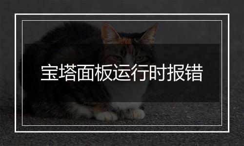 宝塔面板运行时报错