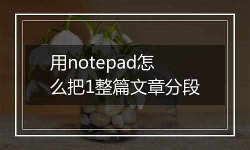 用notepad怎么把1整篇文章分段