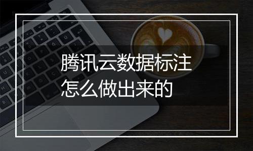 腾讯云数据标注怎么做出来的