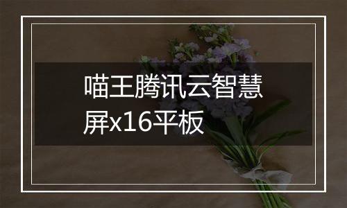 喵王腾讯云智慧屏x16平板