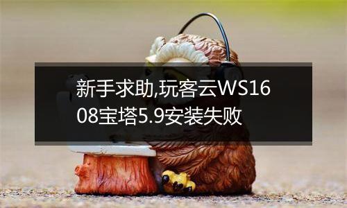 新手求助,玩客云WS1608宝塔5.9安装失败