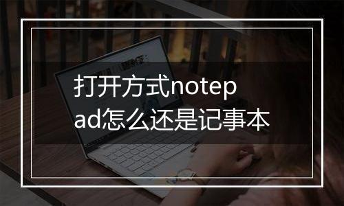 打开方式notepad怎么还是记事本