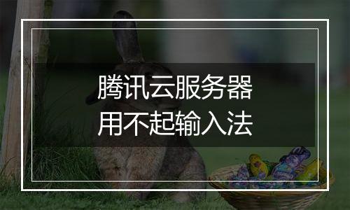 腾讯云服务器用不起输入法