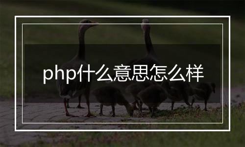 php什么意思怎么样