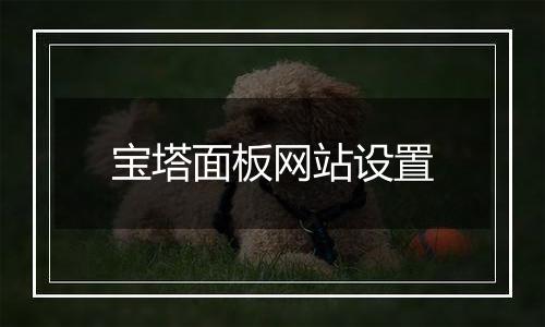 宝塔面板网站设置