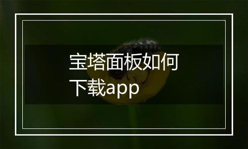宝塔面板如何下载app