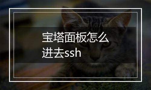 宝塔面板怎么进去ssh