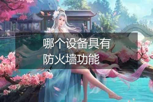 哪个设备具有防火墙功能