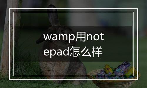 wamp用notepad怎么样
