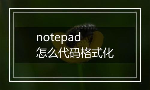 notepad怎么代码格式化