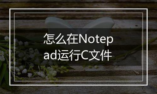 怎么在Notepad运行C文件