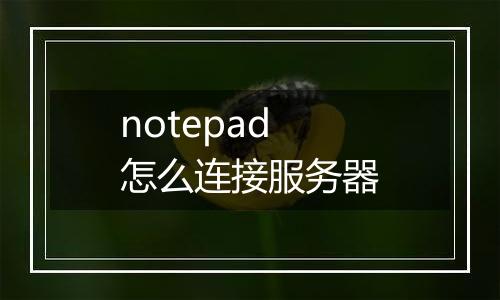 notepad怎么连接服务器