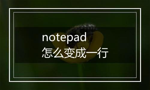 notepad怎么变成一行