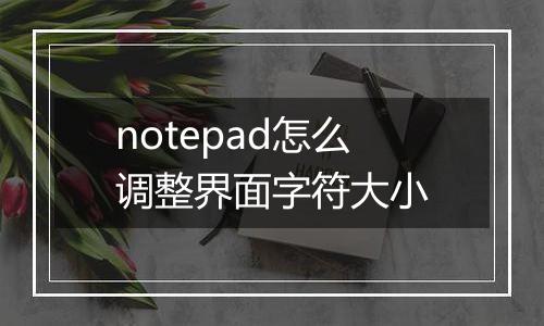 notepad怎么调整界面字符大小