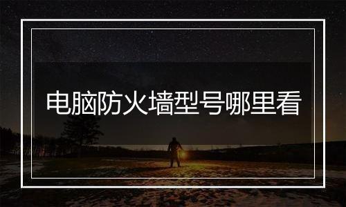 电脑防火墙型号哪里看