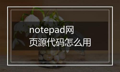 notepad网页源代码怎么用