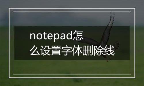 notepad怎么设置字体删除线