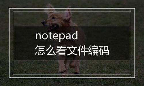 notepad怎么看文件编码