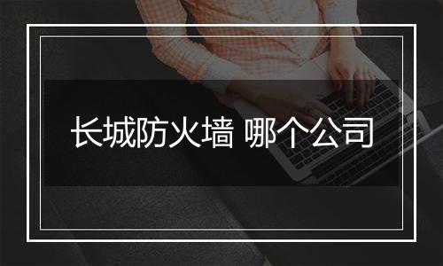 长城防火墙 哪个公司