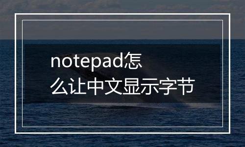 notepad怎么让中文显示字节