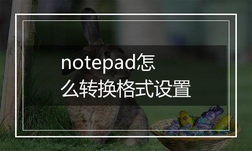 notepad怎么转换格式设置